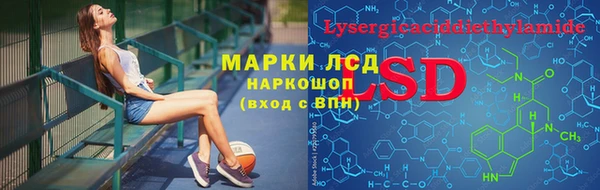 СК Новозыбков