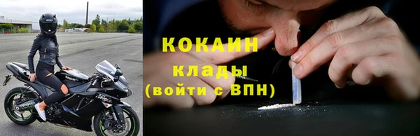 альфа пвп Новодвинск
