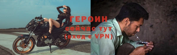 СК Новозыбков