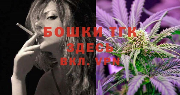 альфа пвп Новодвинск