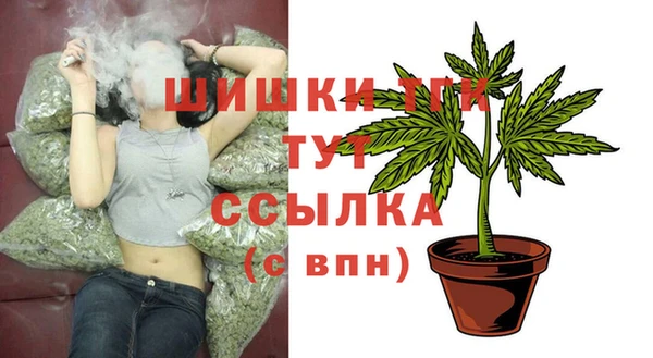 альфа пвп Новодвинск
