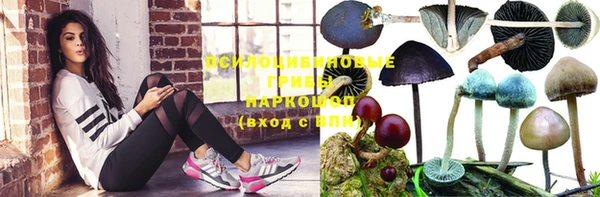 СК Новозыбков
