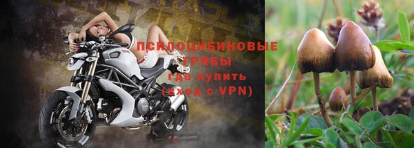 первитин Новокубанск