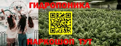 каннабис Гатчина