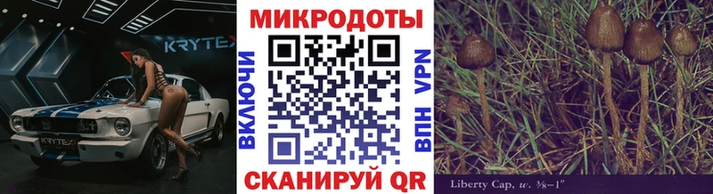 mega ССЫЛКА  купить наркотик  Конаково  Псилоцибиновые грибы Psilocybine cubensis 