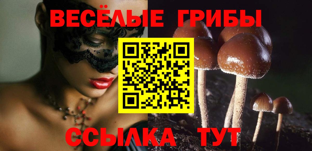 Галлюциногенные грибы Magic Shrooms  Псилоцибиновые грибы MAGIC MUSHROOMS  Вход с VPN  Конаково 