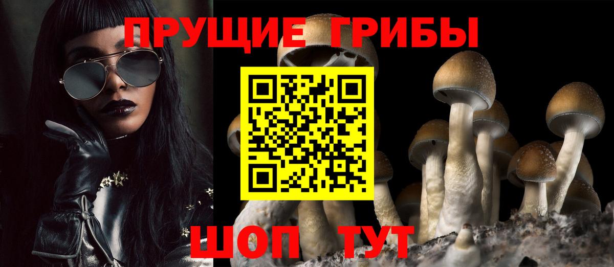 Псилоцибиновые грибы мицелий Конаково