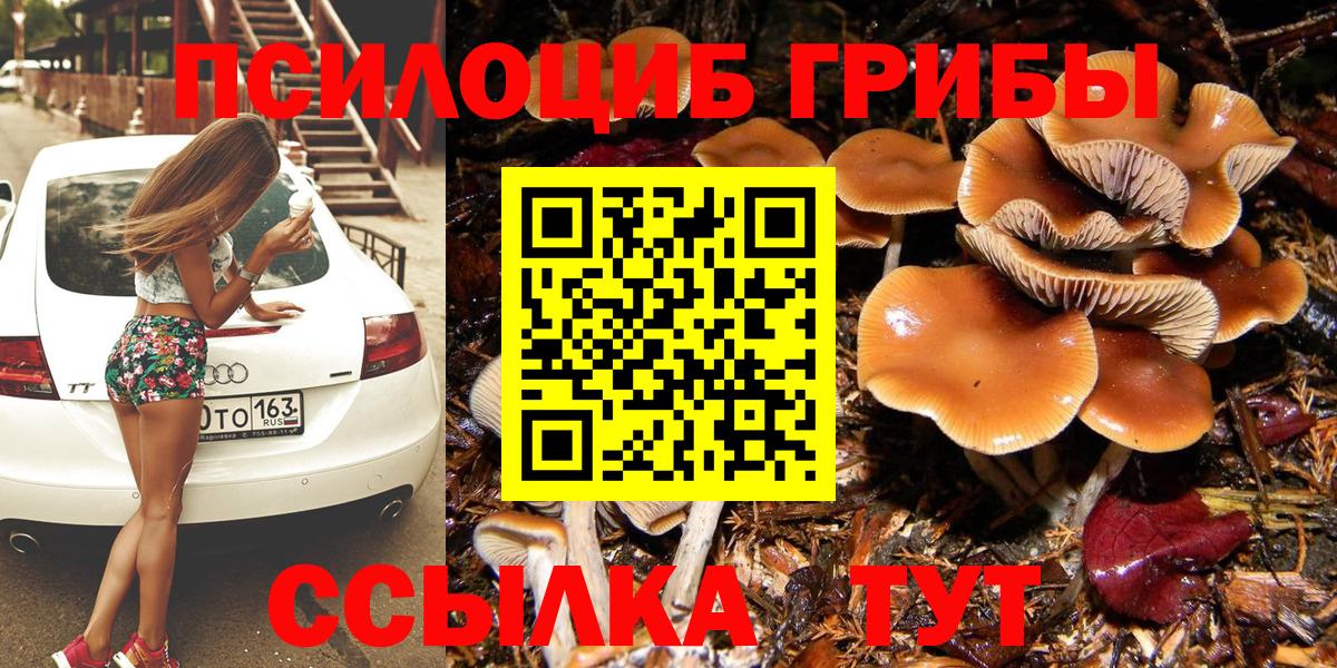 Псилоцибиновые грибы мицелий Конаково