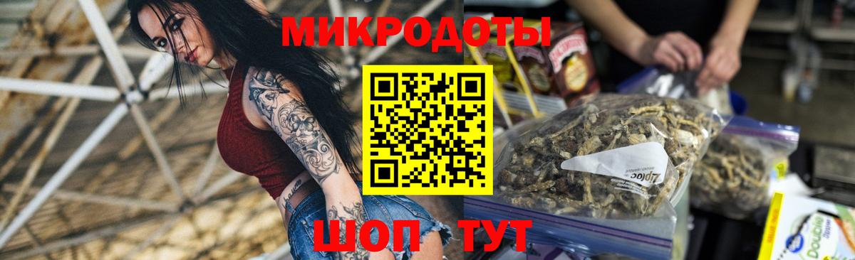 Псилоцибиновые грибы Psilocybe  Конаково  Псилоцибиновые грибы Magic Shrooms 